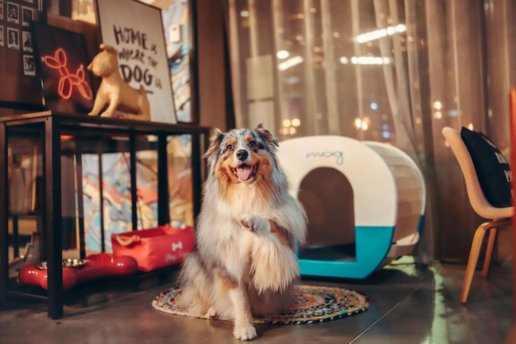 Moxy Bordeaux Hotell Eksteriør bilde